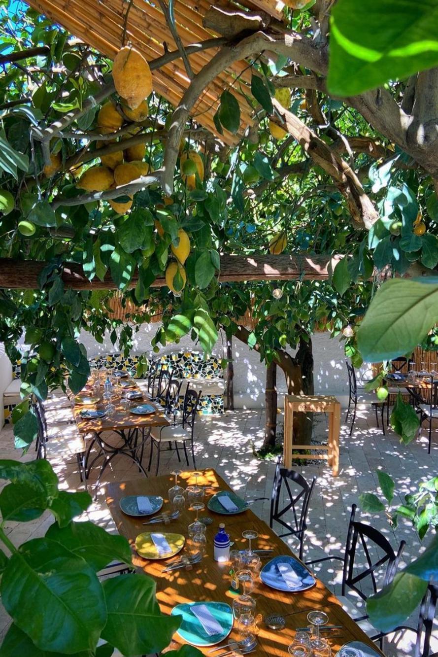Don Salvatore Resort มอนเต ดิ ปรอชิดา ภายนอก รูปภาพ
